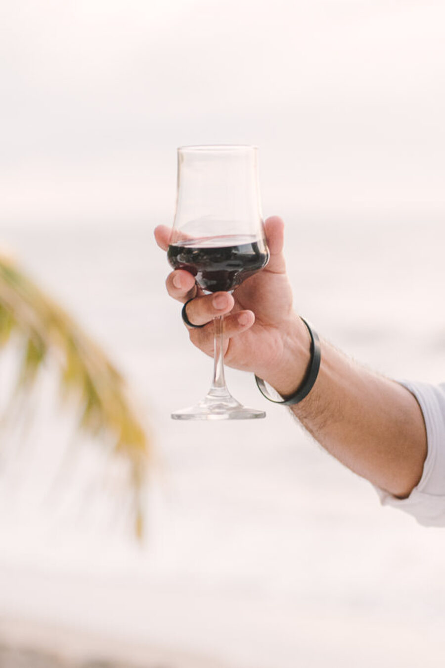 Descripción de la imagen 42